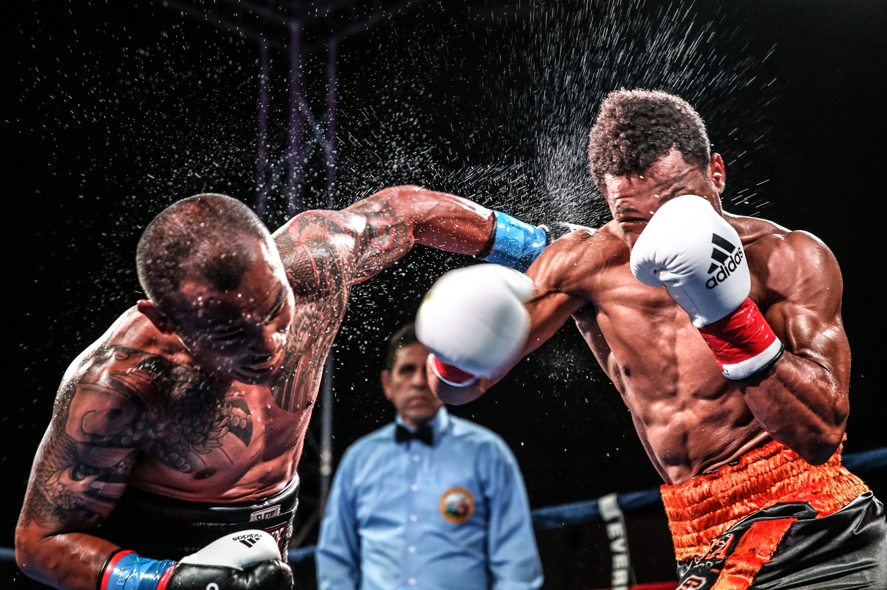 Why UFC Streams Matter More Than Ever in the Social Media Era