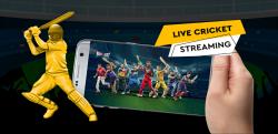 Cricket Streams on Totalsportek: The Ultimate Guide for 2025
