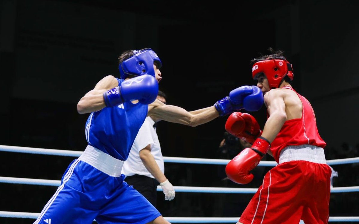 Where to Watch Boxing Streams Live Free – Full Fight Night Coverage