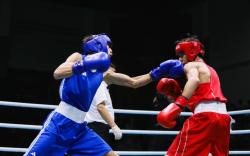 Where to Watch Boxing Streams Live Free – Full Fight Night Coverage